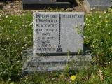 image of grave number 267688